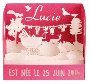 carte voeux faire part naissance mariage invitations