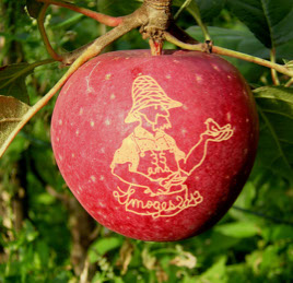 pomme décoré au pochoir