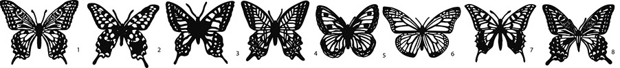 papillons papier découpé